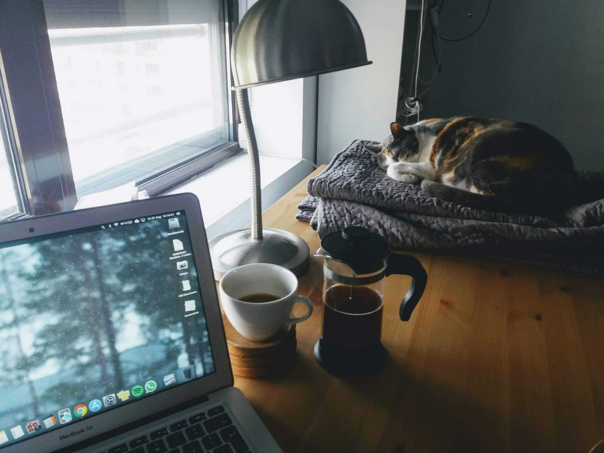 early morning with computer, cat, and coffee on a desk